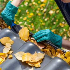 A person getting the leaves on the gutter